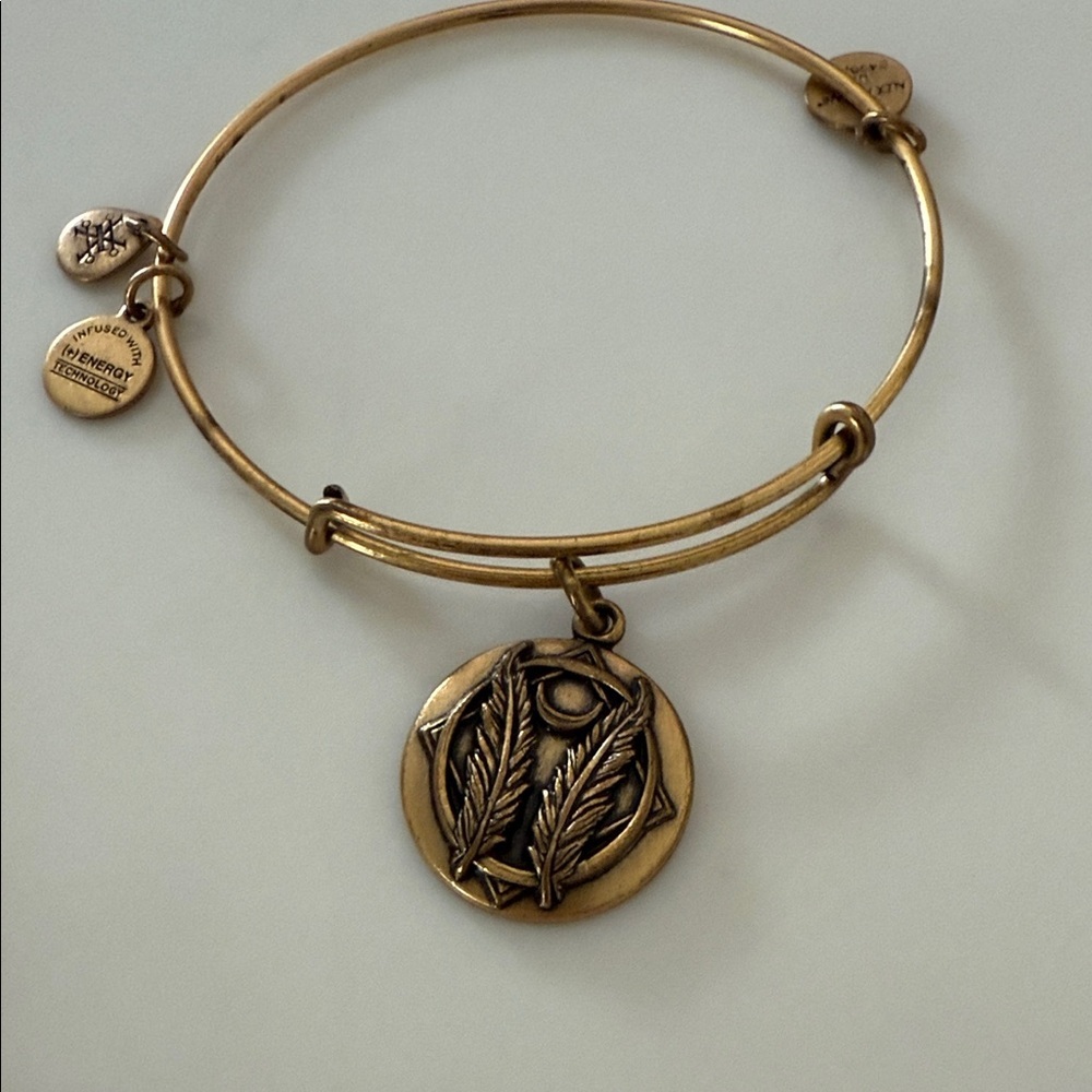Alex and Ani Gold 2016 Bangle Bracelet Set - Picture 5 of 7